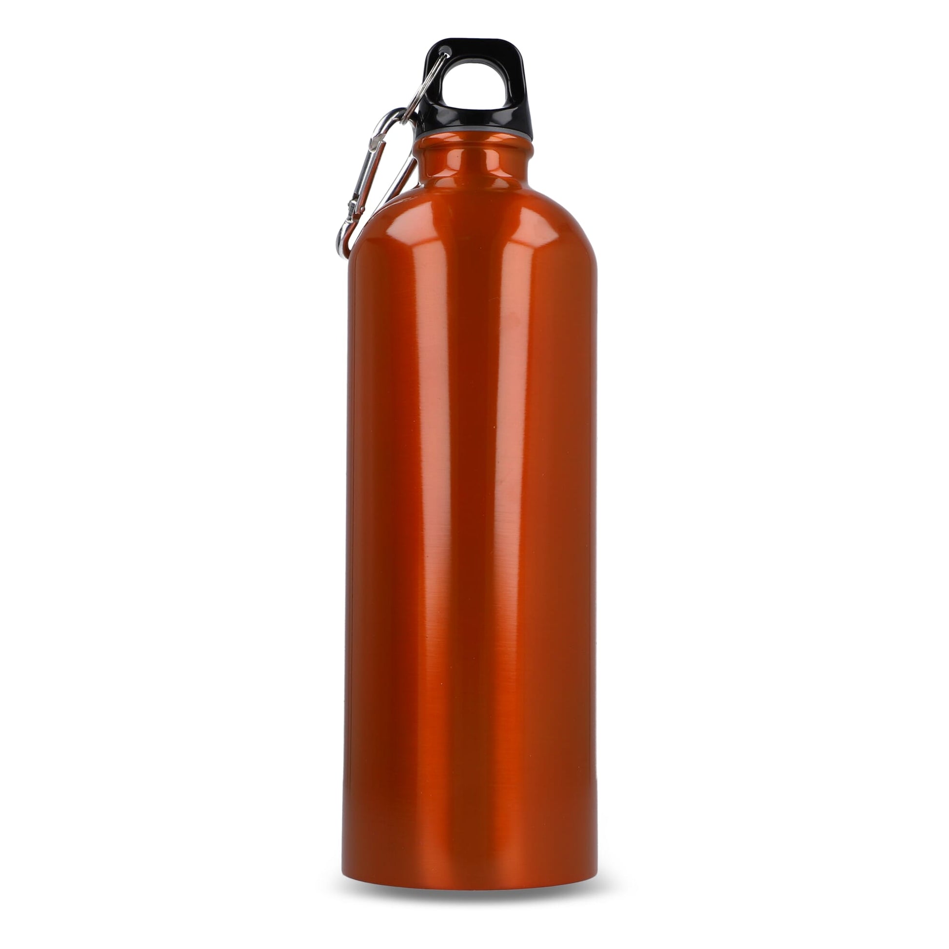 R-Edelstahl einwandige Flasche mit Karabiner 750ml