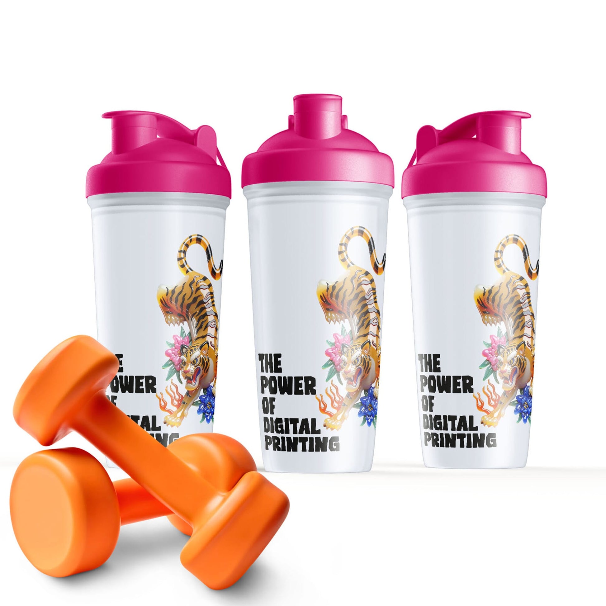 Shaker 700 ml
