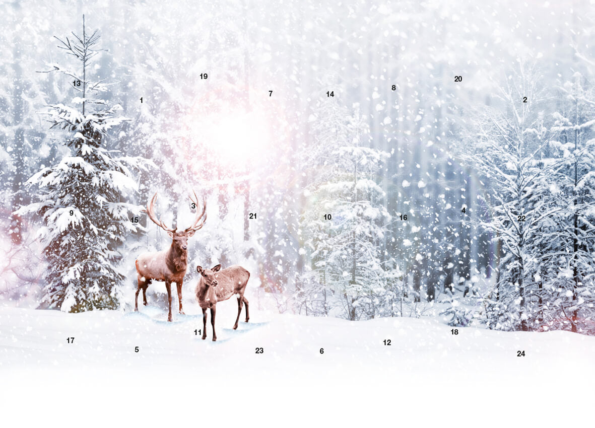 Werbeeinleger Adventskalender - personalisierbares STANDARDMOTIV – M085 Winterwald