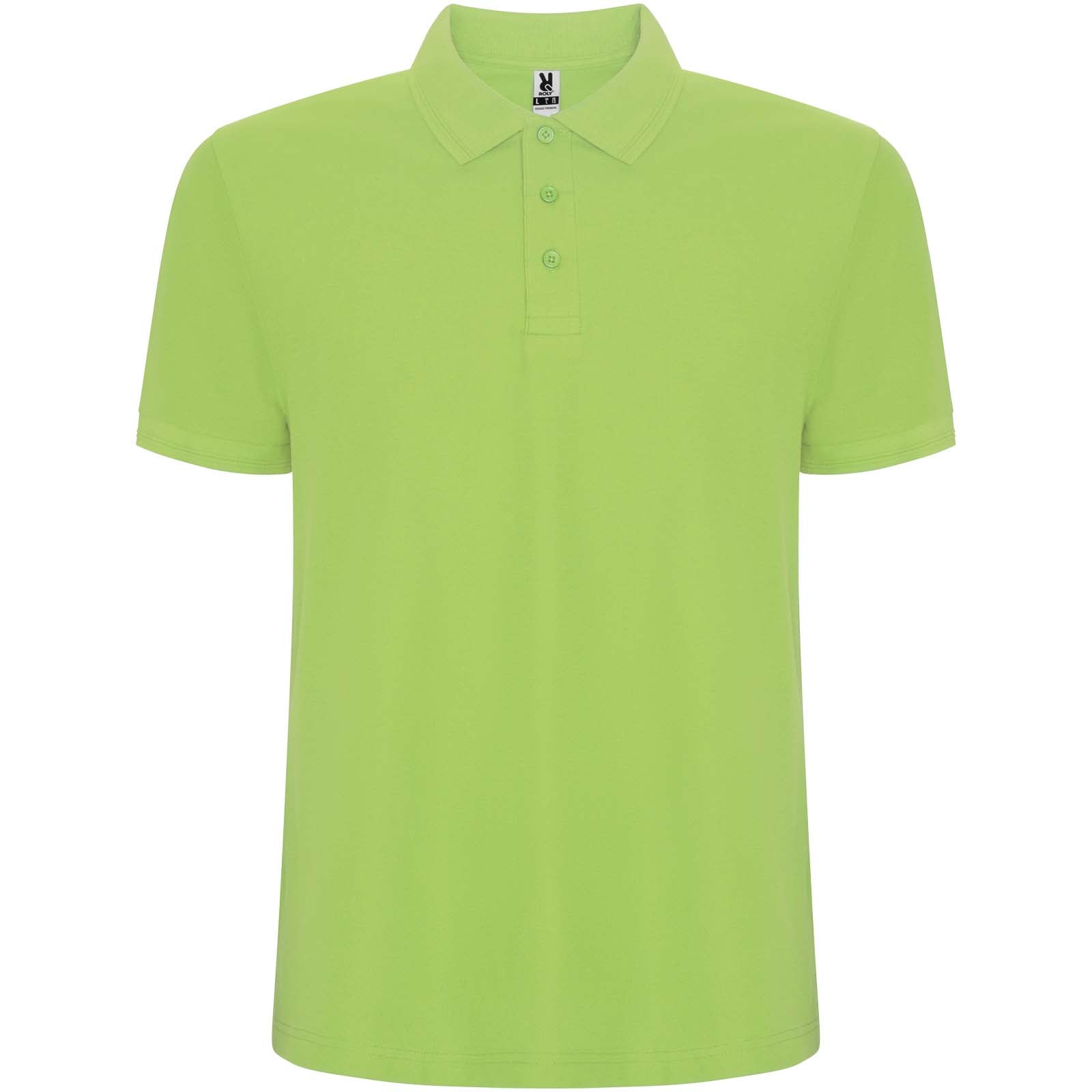 Pegaso 220 g/m² Premium Poloshirt für Herren – Mantis Grün – 4XL