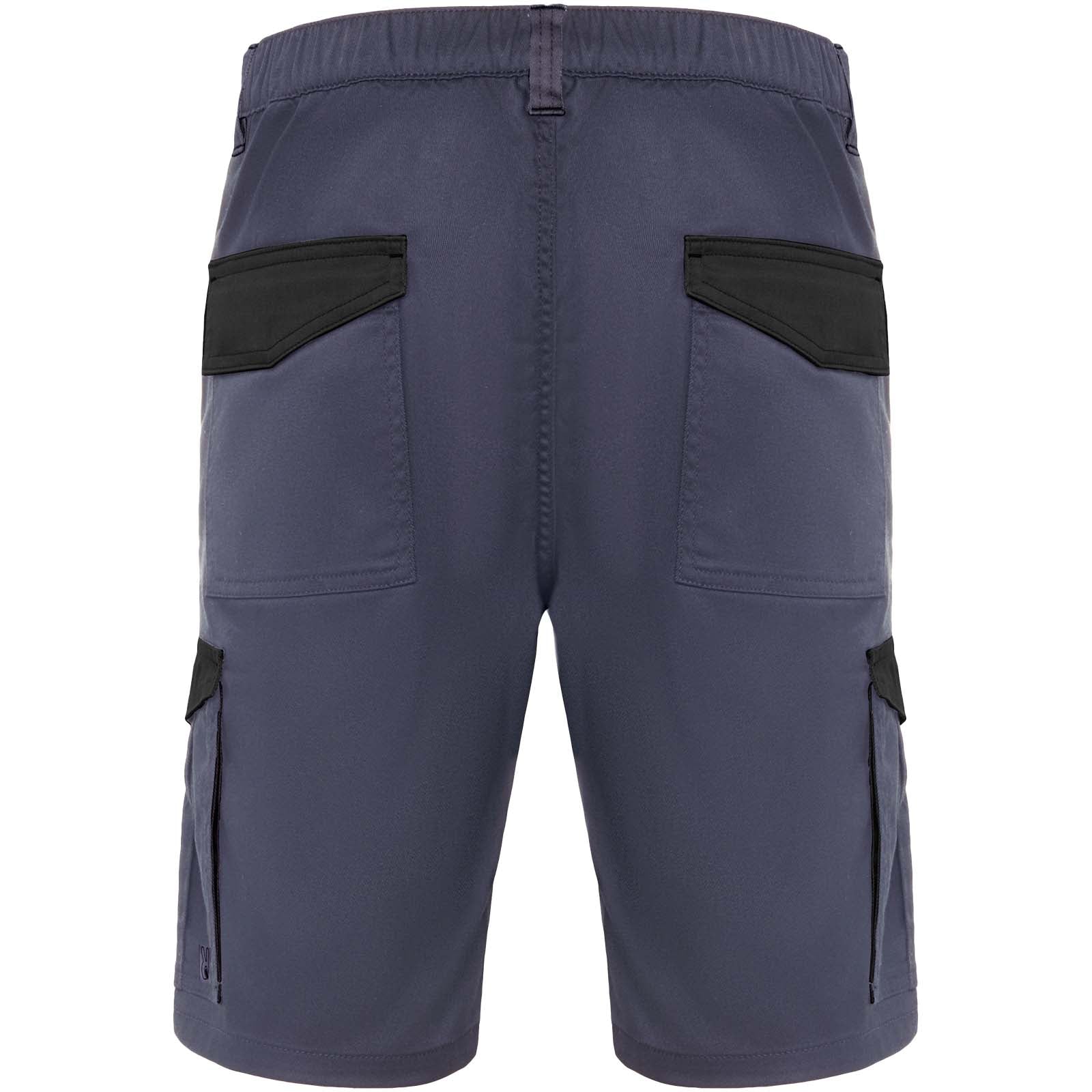 Tahoe Arbeitsshorts, 250 g/m2