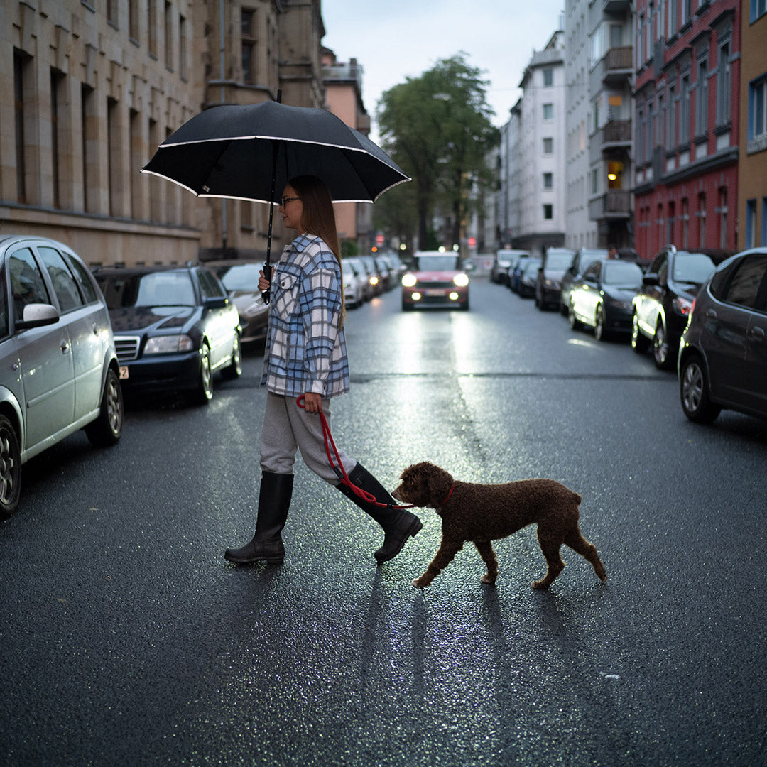 AC-Gästeschirm FARE® DoggyBrella® – Produktbild 5