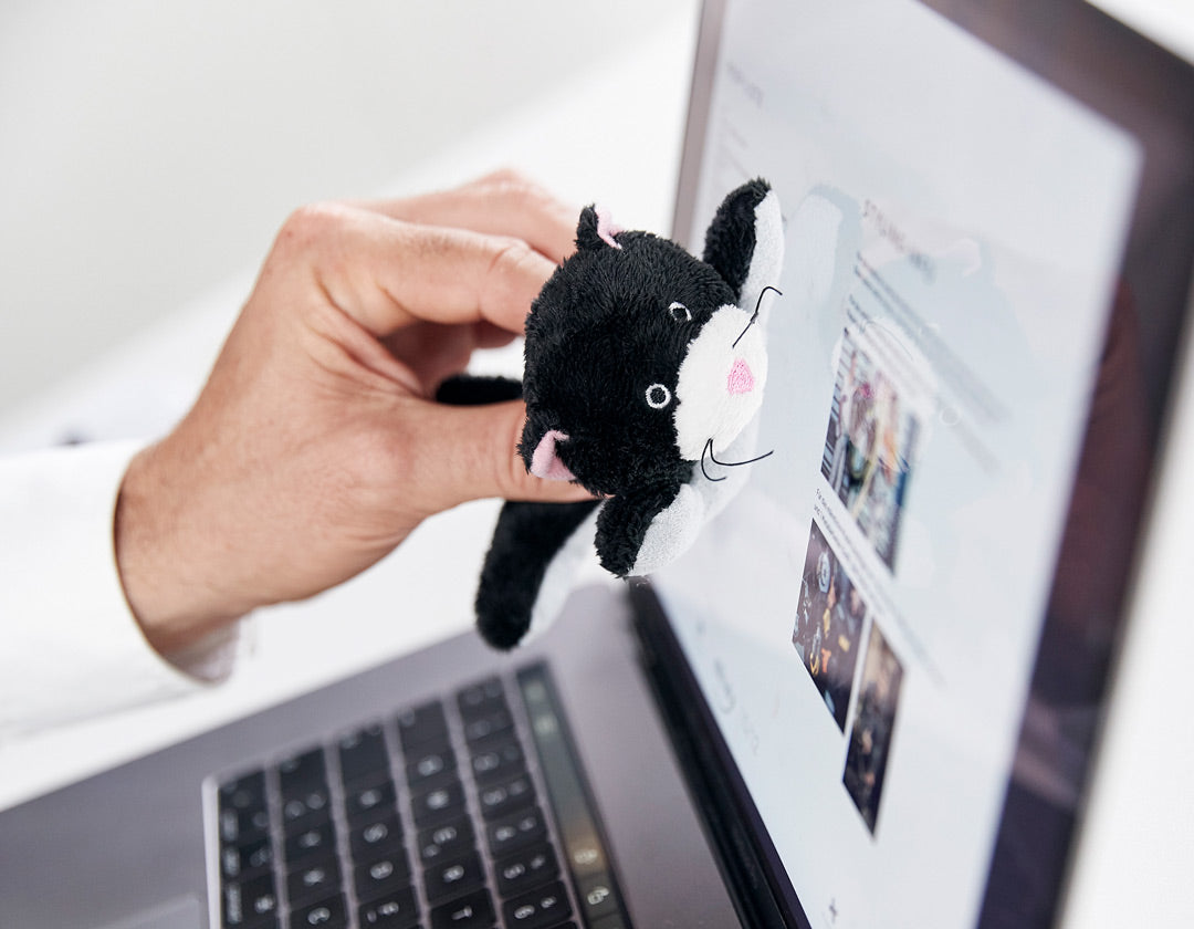 Bildschirmreiniger Katze – Detailansicht 3