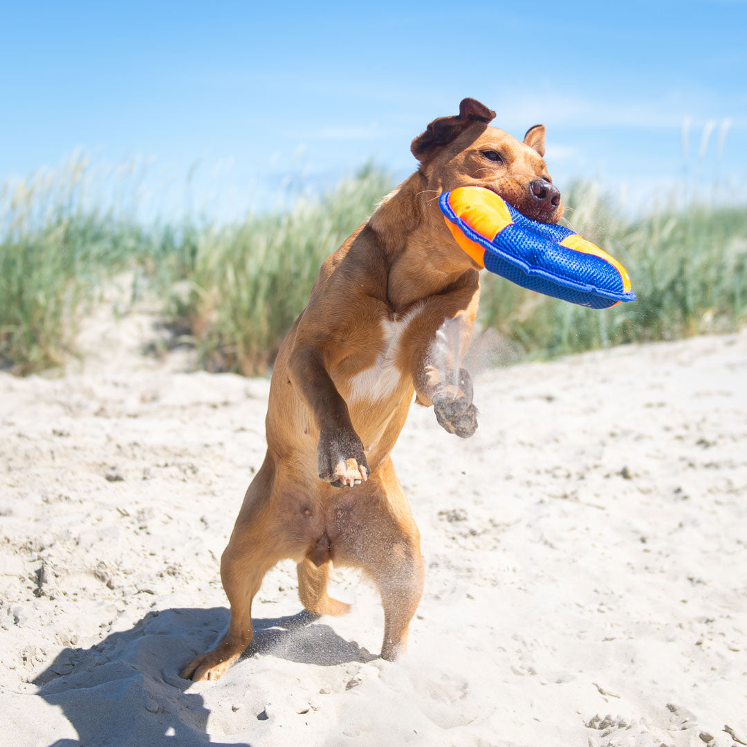 Hundespielzeug Flying Disc – Detailansicht 15