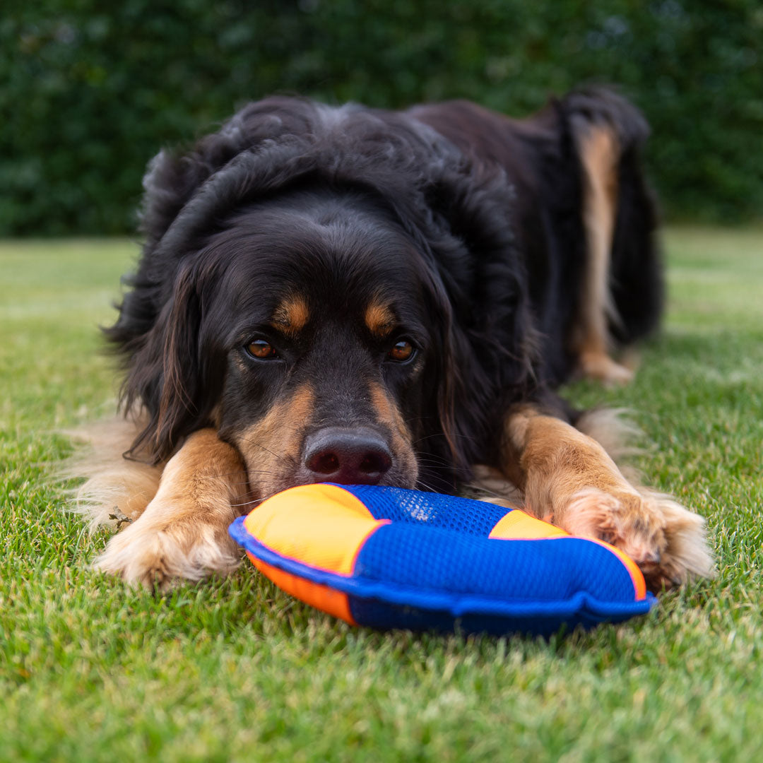Hundespielzeug Flying Disc – Detailansicht 13
