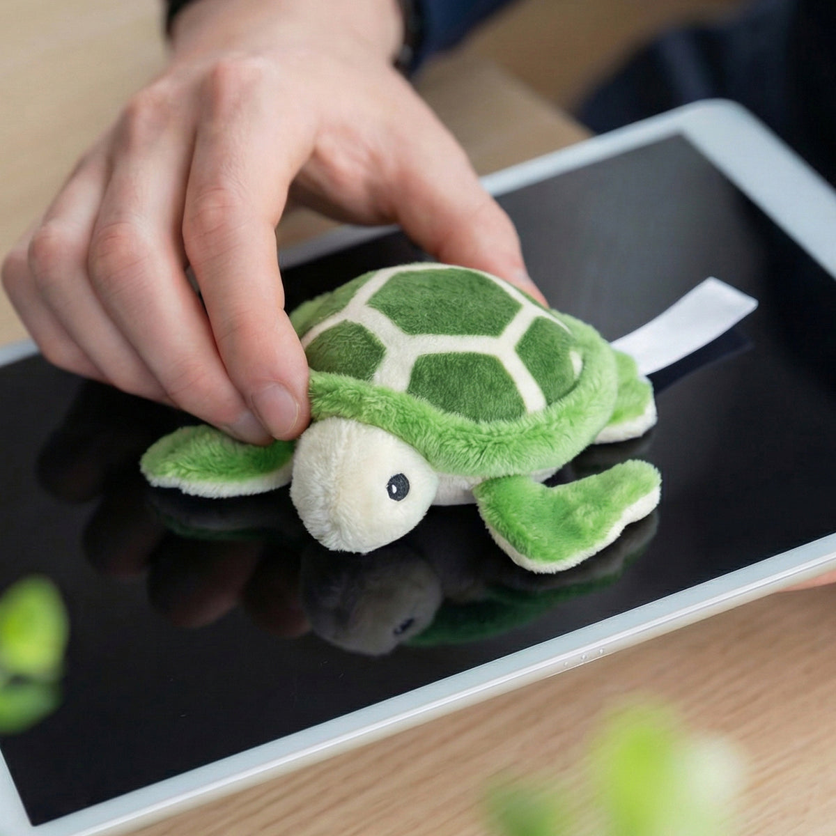 Schmoozies® Schildkröte – Detailansicht 3