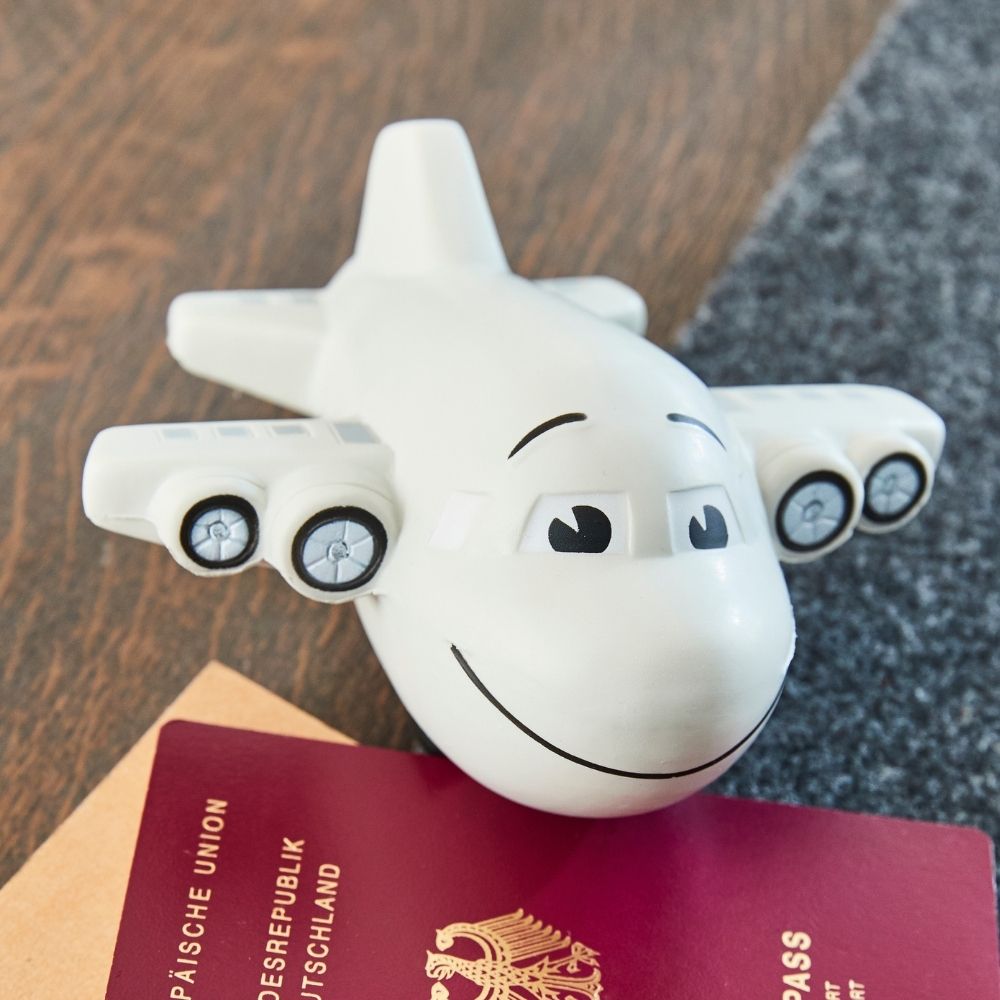 Flugzeug – Detailansicht 2