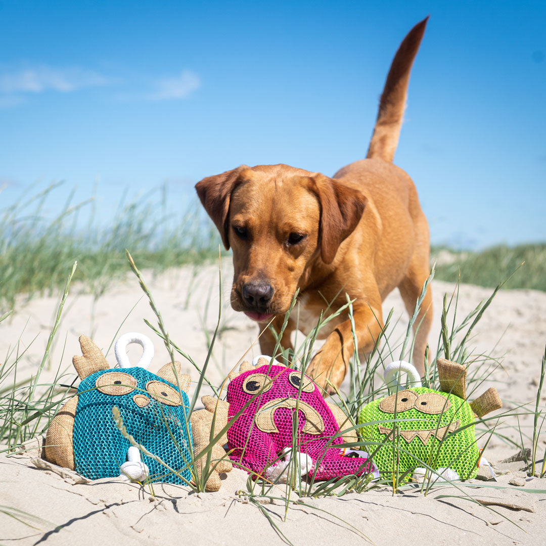 Hundespielzeug Eule – Detailansicht 5