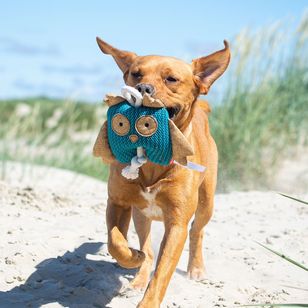 Hundespielzeug Eule – Detailansicht 4