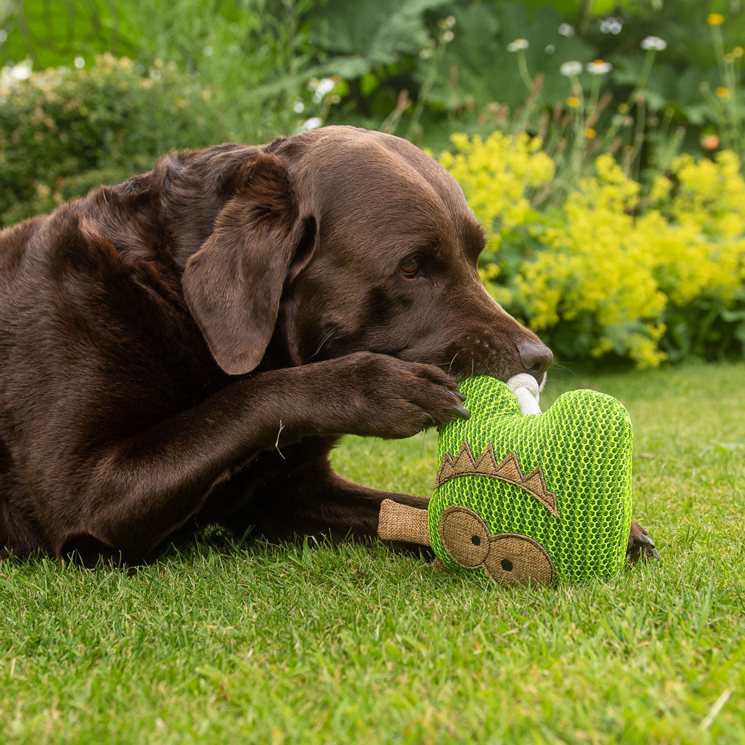 Hundespielzeug Gespenst – Detailansicht 4
