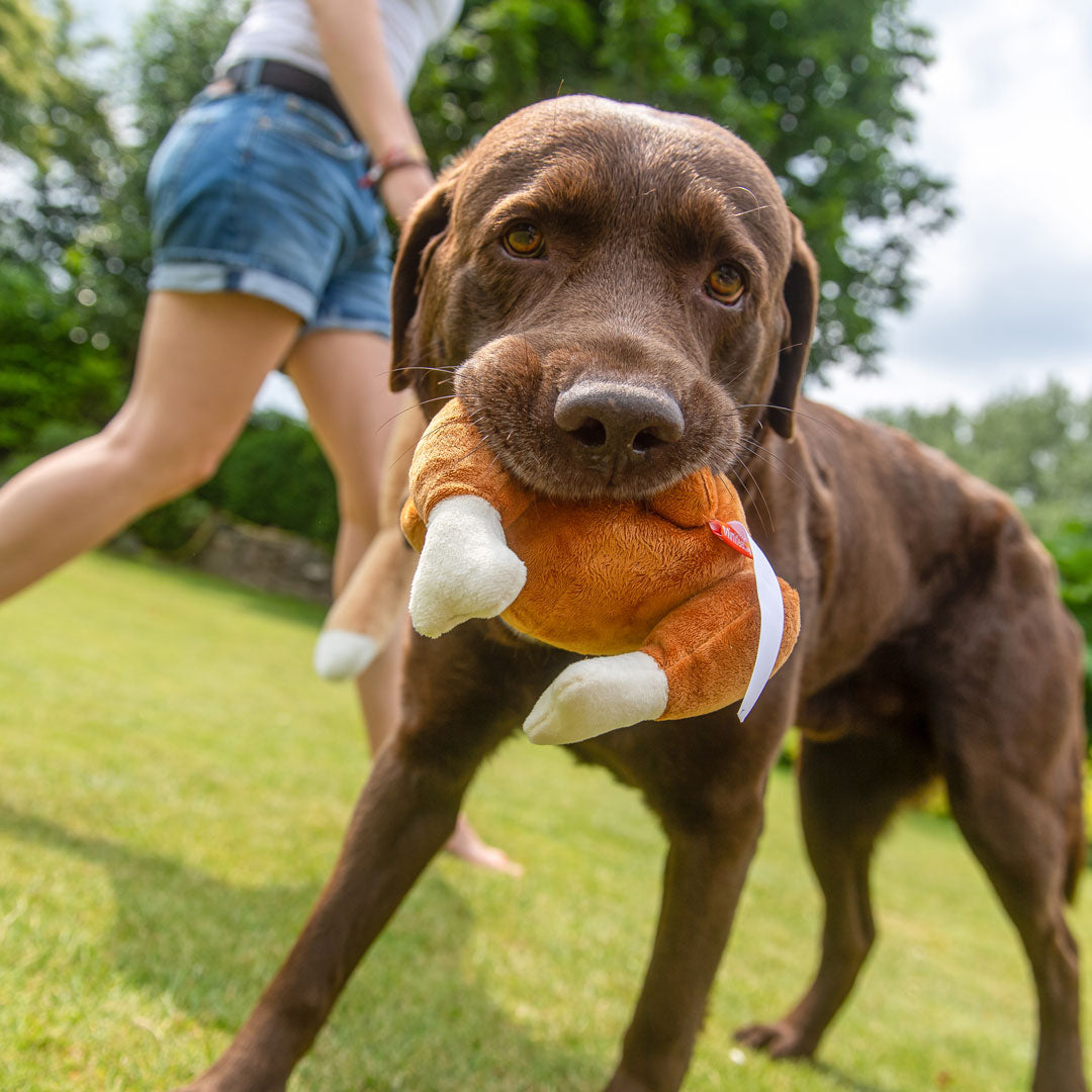 Hundespielzeug Hähnchen – Detailansicht 5