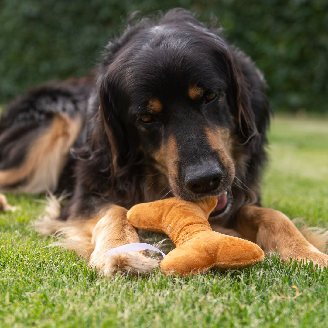 Hundespielzeug Knochen – Detailansicht 2
