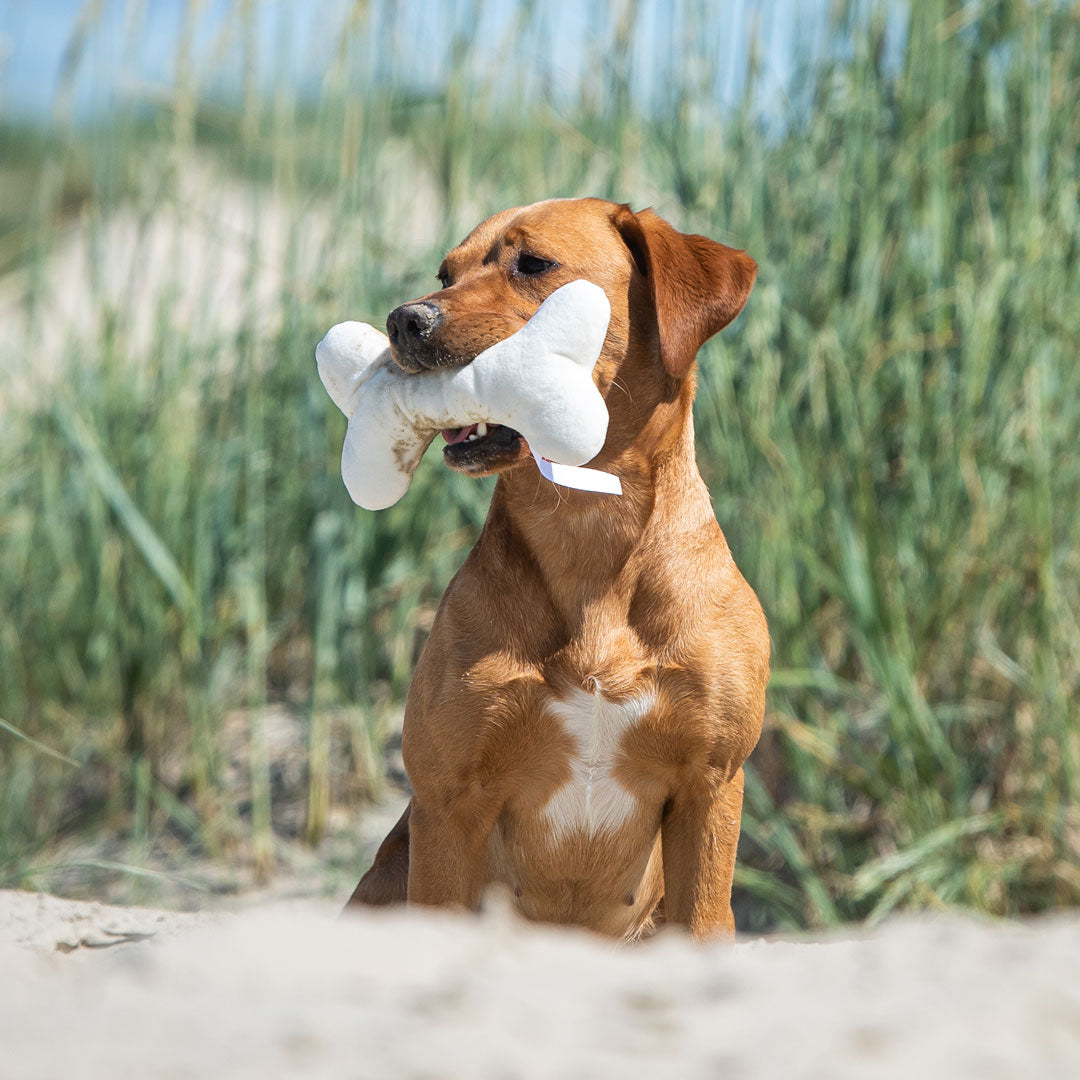 Hundespielzeug Knochen – Detailansicht 2