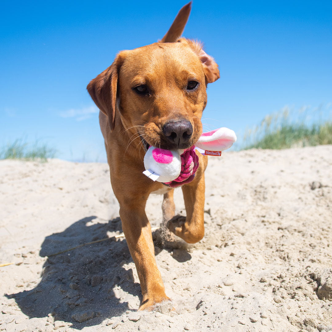 Hundespielzeug Knotentier Hase – Detailansicht 5