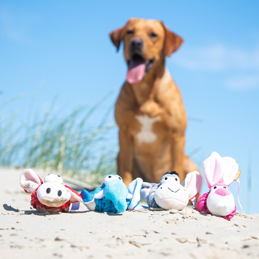 Hundespielzeug Knotentier Hase – Detailansicht 4