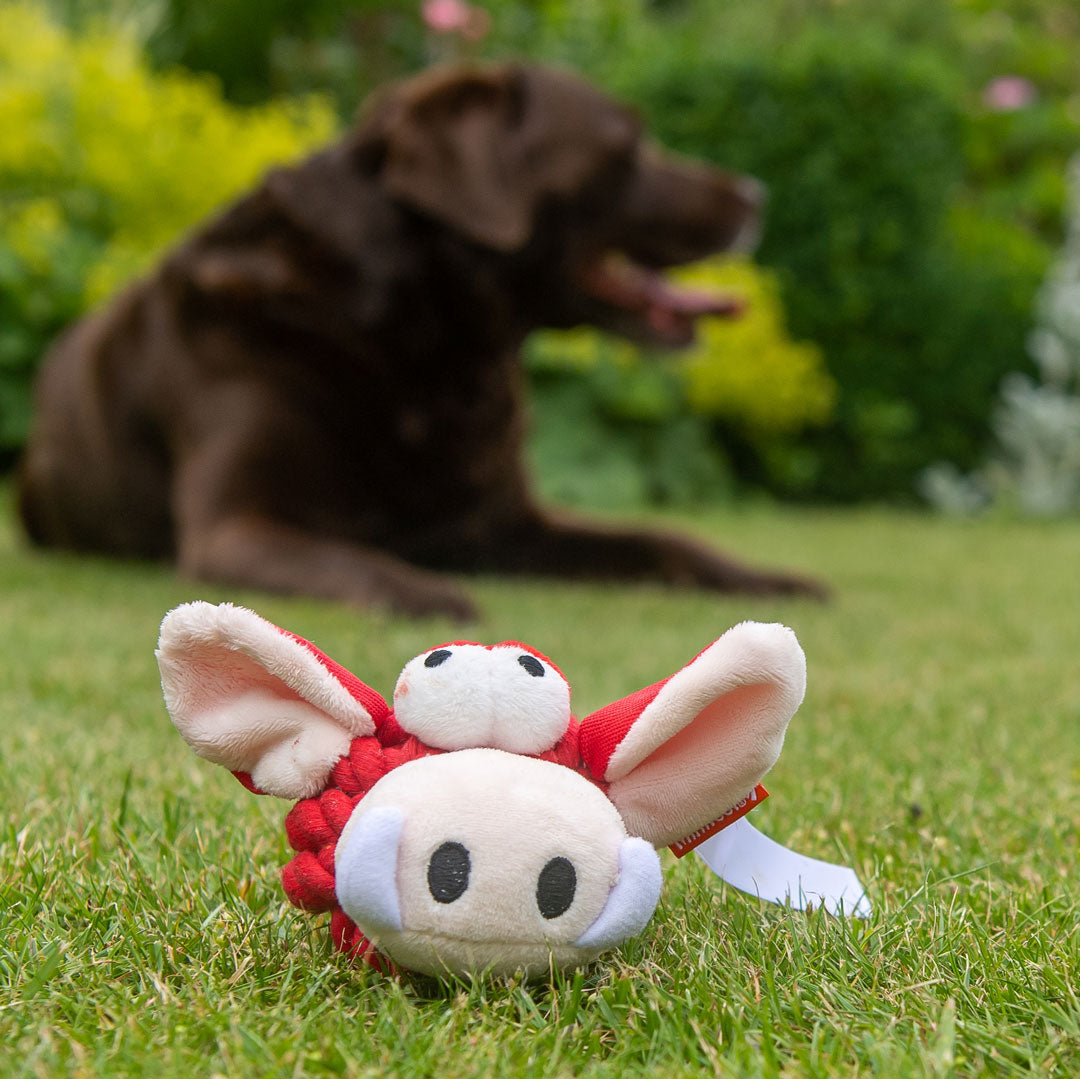 Hundespielzeug Knotentier Wildschwein – Detailansicht 4