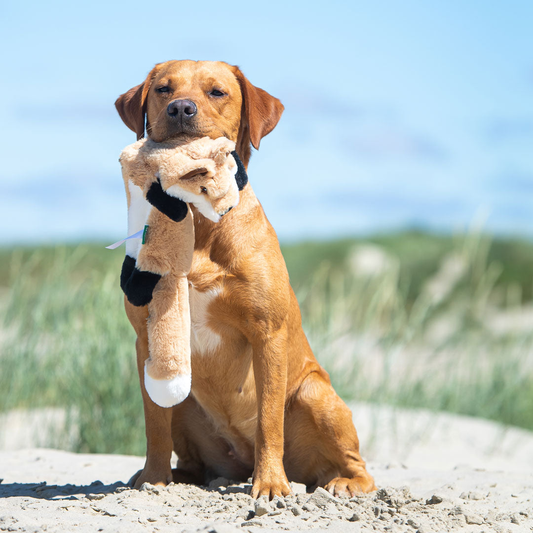 Hundespielzeug RecycelFuchs – Detailansicht 7