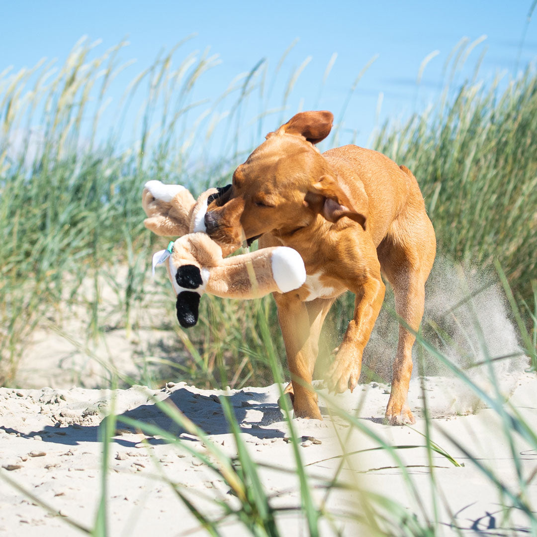 Hundespielzeug RecycelFuchs – Detailansicht 6