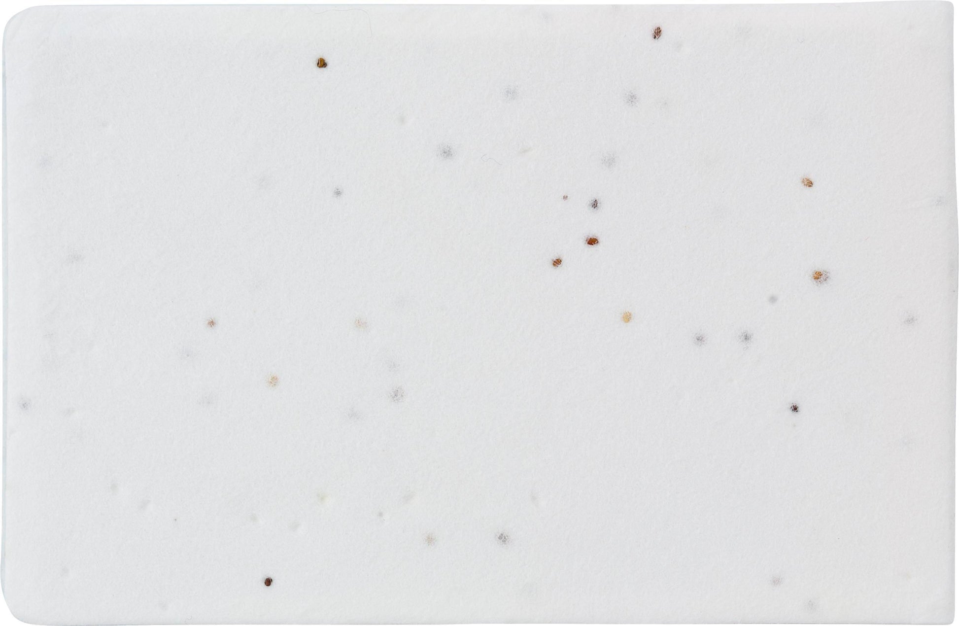 Haftnotizen aus Saatgutpapier Natalja