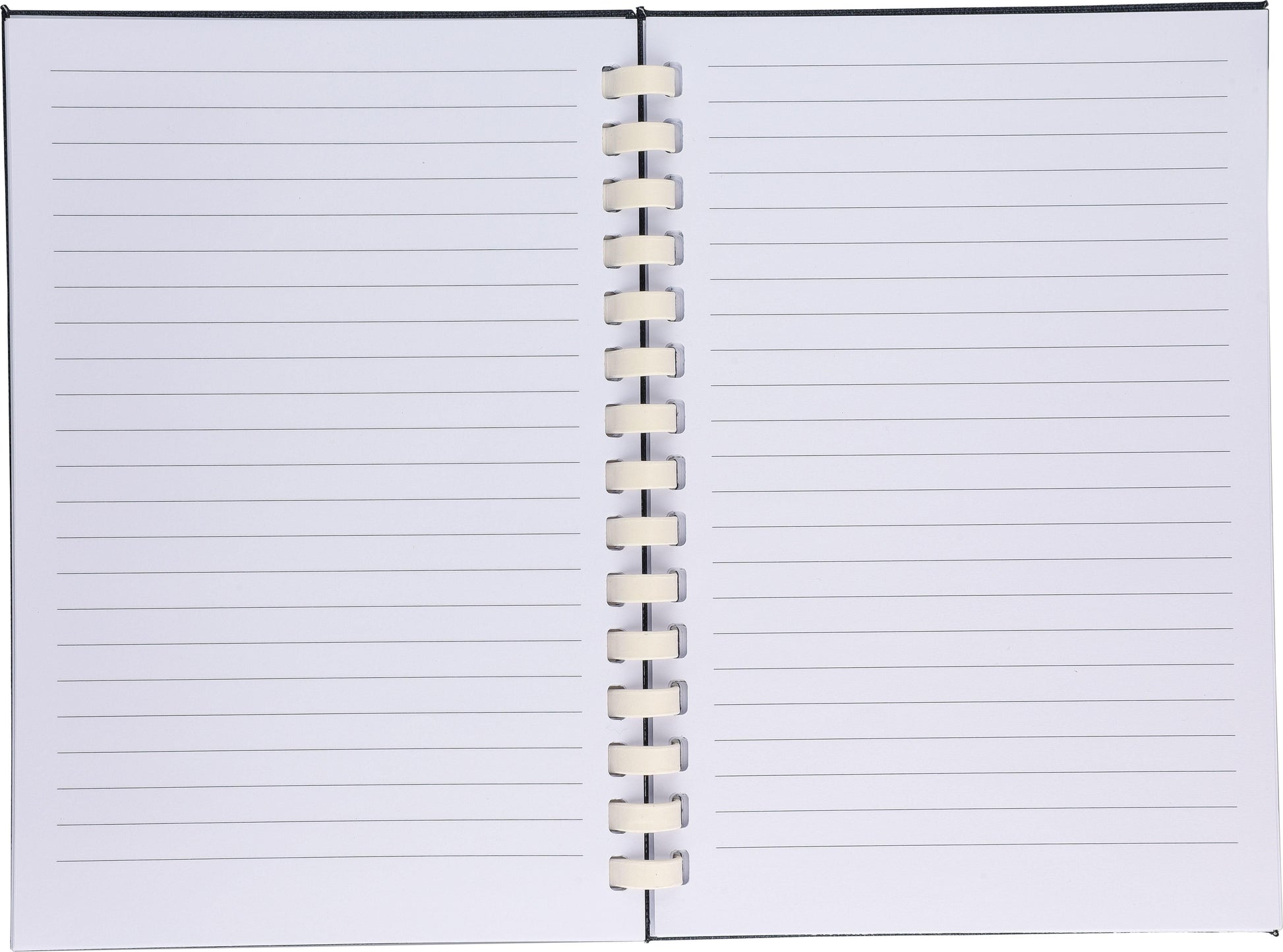 rPET-Notizbuch (A5) Ilias Original