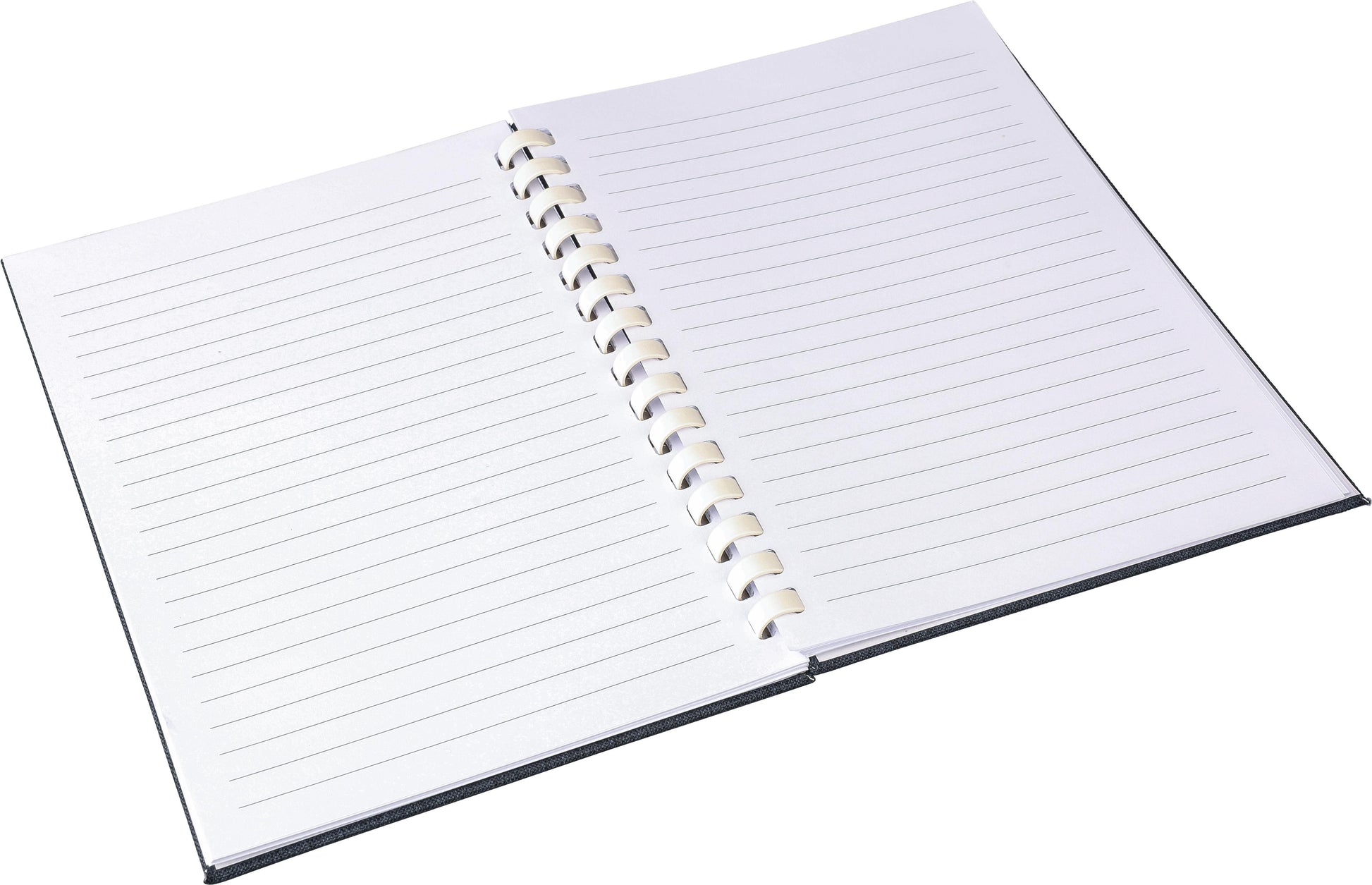 Notizbuch Ilias | Recyceltes PET | A5 | Liniert