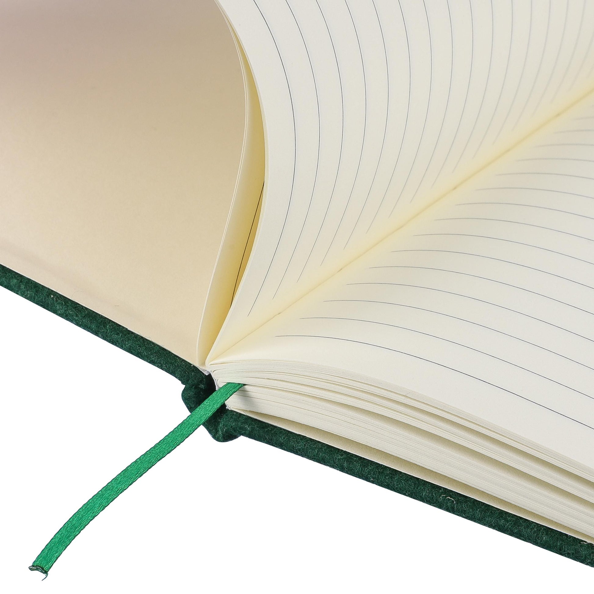 Notizbuch Danio | Recycelter Filz | A5 | Liniert
