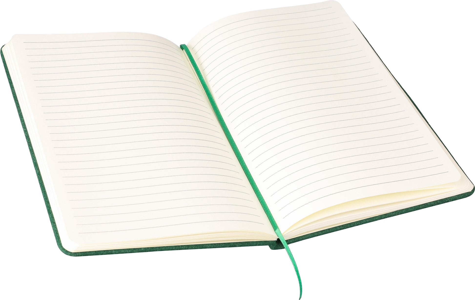 Notizbuch Danio | Recycelter Filz | A5 | Liniert