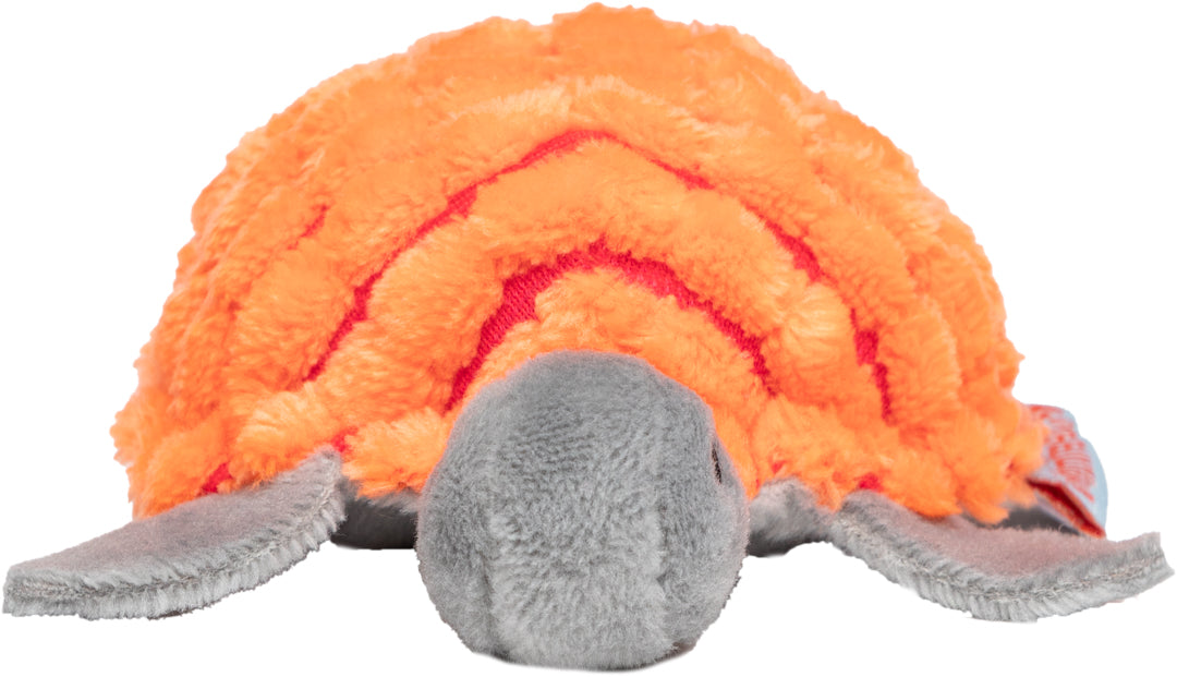 Katzenspielzeug Schildkröte – Detailansicht 5