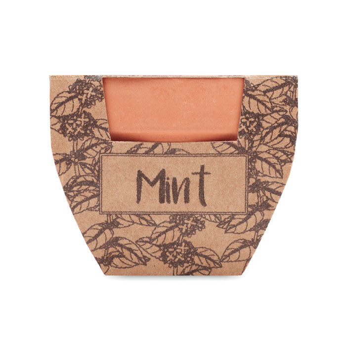 MINT POT Terrakotta-Topf Minze