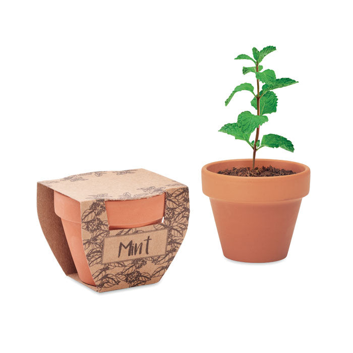 MINT POT Terrakotta-Topf Minze – Holz