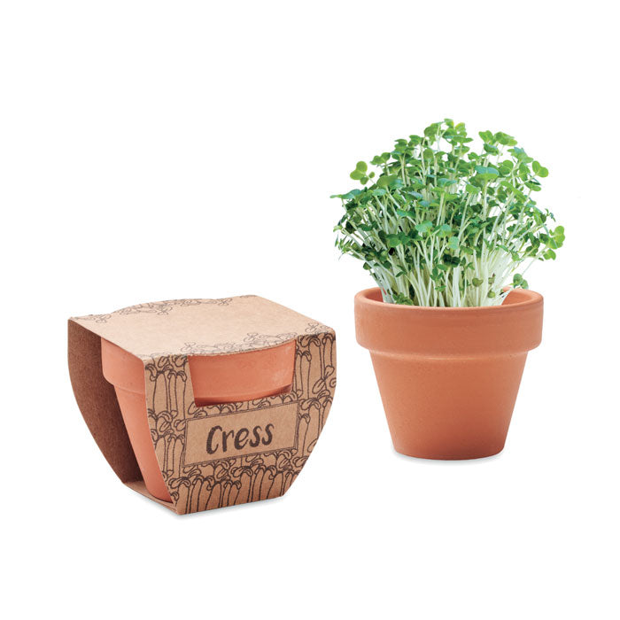 CRESS POT Terrakotta-Topf Kresse – Holz