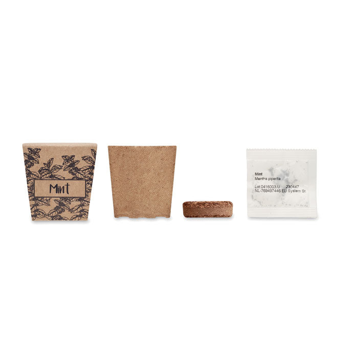 MINT KIT Pflanz-Set Minze