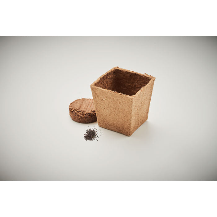 MINT KIT Pflanz-Set Minze