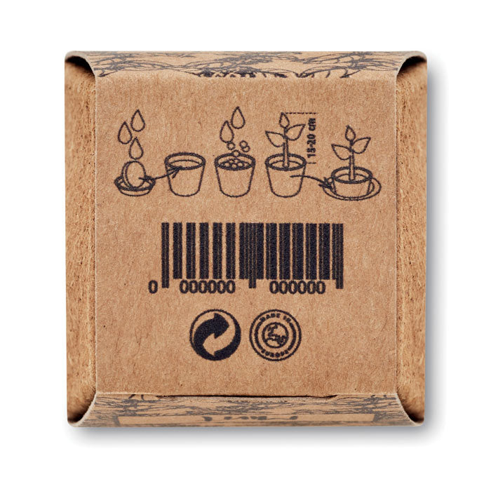 MINT KIT Pflanz-Set Minze
