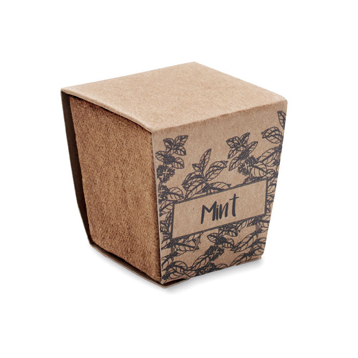 MINT KIT Pflanz-Set Minze