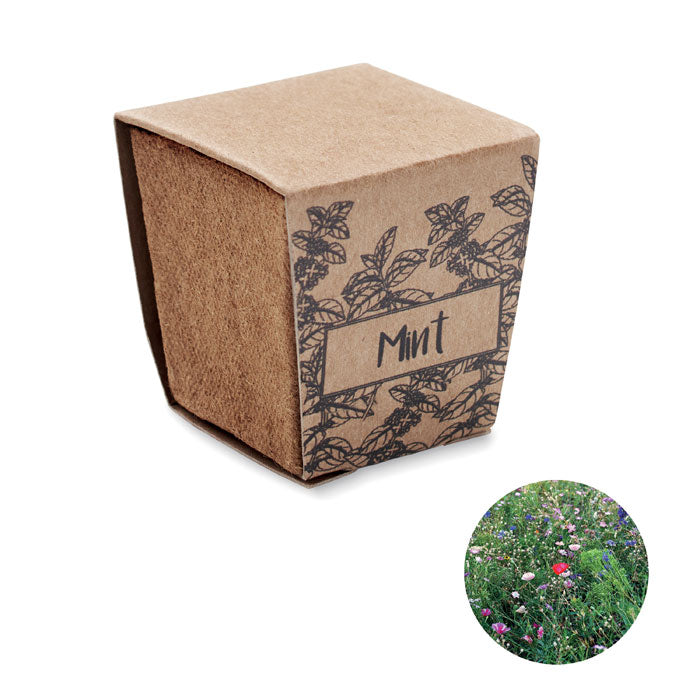 MINT KIT Pflanz-Set Minze – Beige
