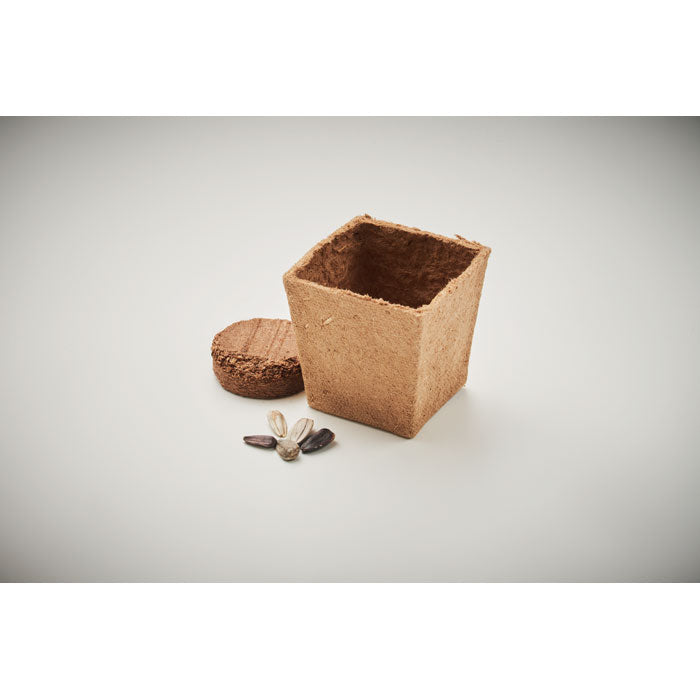 SUNFLOWER KIT Pflanz-Set Sonnenblume