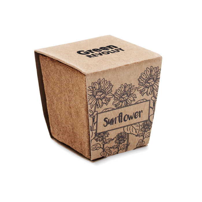 SUNFLOWER KIT Pflanz-Set Sonnenblume