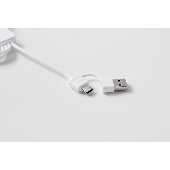 ICAB 2in1 Ladekabel Typ-C