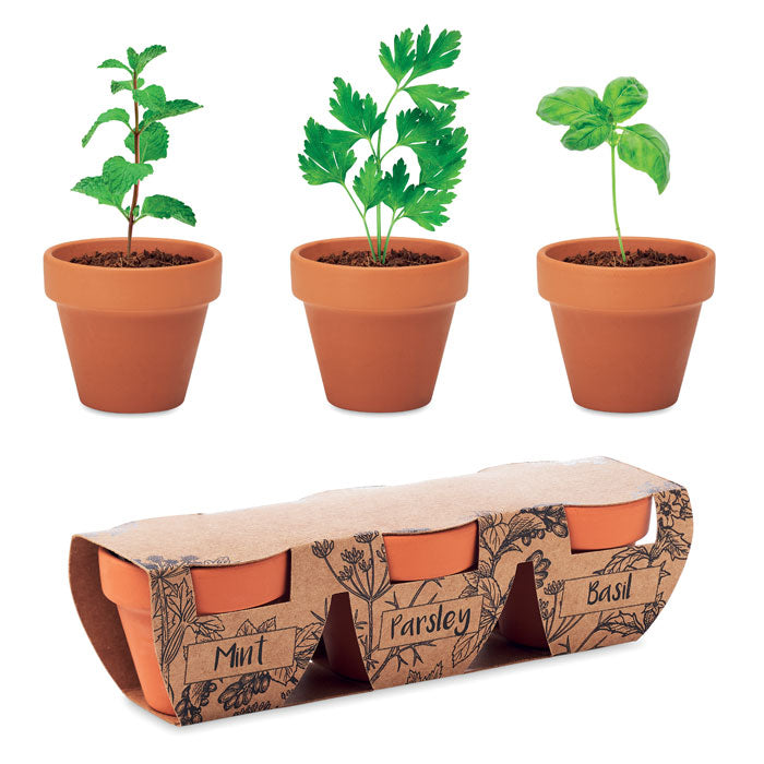 FLOWERPOT Terracotta-Set Kräuter – Holz