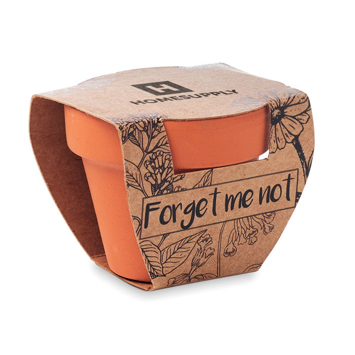 FORGET ME NOT Terracotta-Topf Vergissmeinnicht