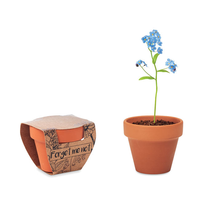 FORGET ME NOT Terracotta-Topf Vergissmeinnicht – Holz