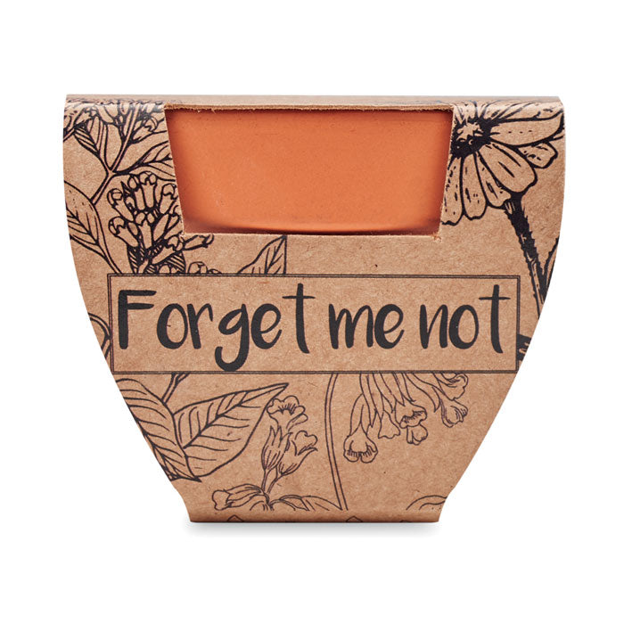 FORGET ME NOT Terracotta-Topf Vergissmeinnicht