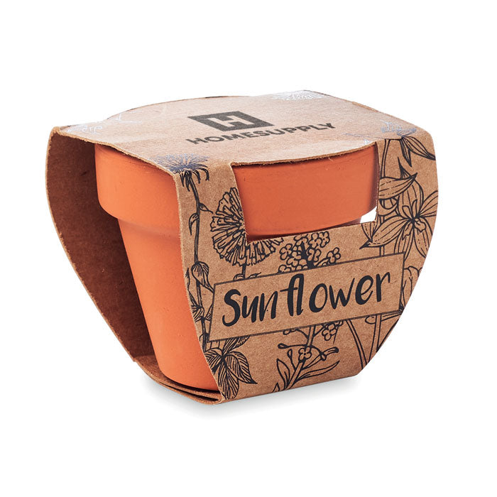SUNFLOWER Terracotta-Topf Sonnenblume