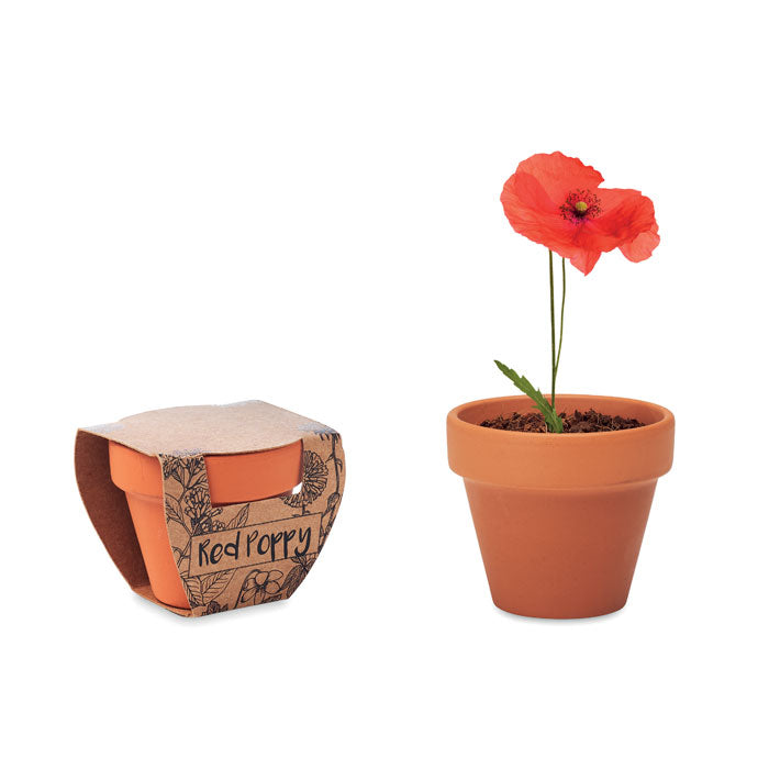 RED POPPY Terracotta-Topf Mohnblume – Holz