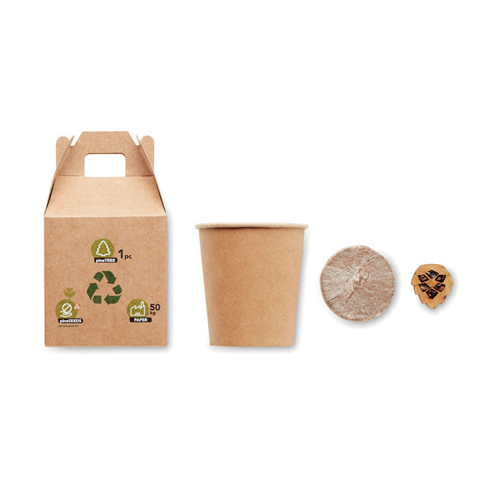 GROWTREE™ Kiefernsamen-Set