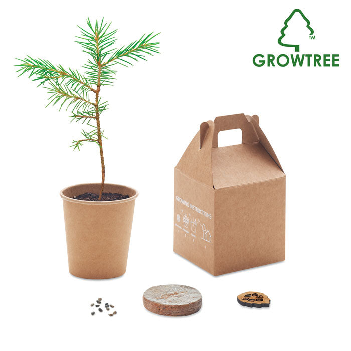 GROWTREE™ Kiefernsamen-Set – Beige