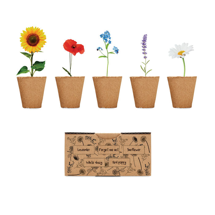 FLOWERS Saat-Set Sommerblumen – Beige