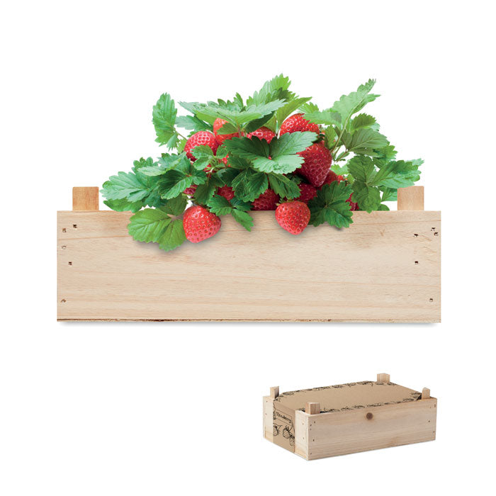 STRAWBERRY Saat-Set Erdbeere – Holz