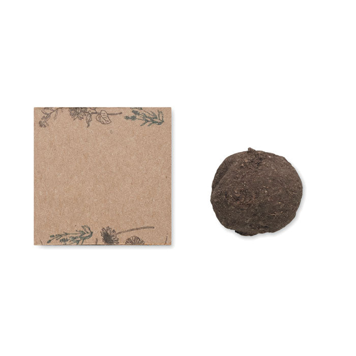 BOMBI Saat-Set Wildblumen